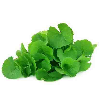 Thankuni Pata 1 Bundle